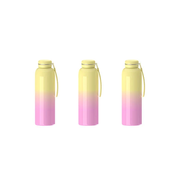Stainless Steel Thermos Bottle With Macarons Lid best